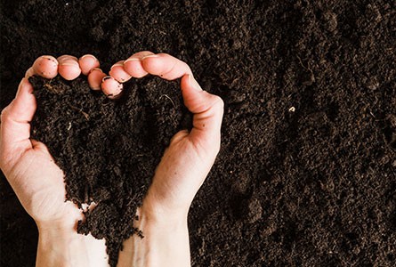 Social and environmental responsibility